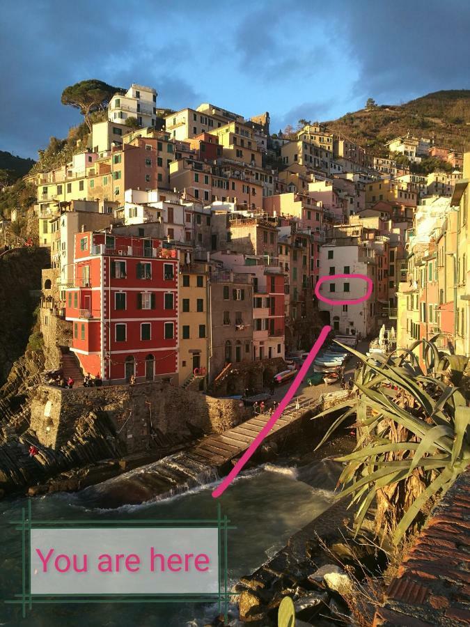 Nel Cuore Del Porticciolo Riomaggiore Exteriér fotografie